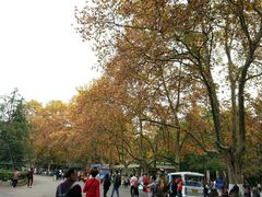 餐饮设施-中山陵景区
