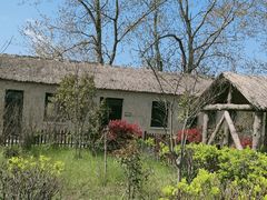 -盐城丹顶鹤湿地生态旅游区