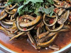 -飞虹鱼馆(春华路店)