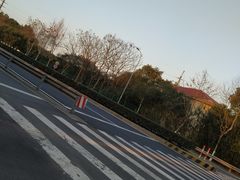 -宏泰园蔬果专业合作社