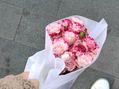 -循礼门鲜花花市(武汉循礼门店)