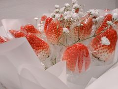 -花仙女鲜花店