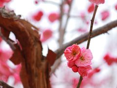 -东林广场(地铁站)