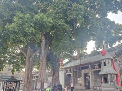 -悦城龙母祖庙