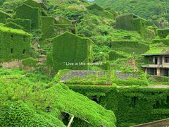 -枸杞岛