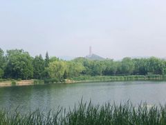 -北坞公园