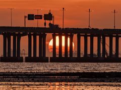 -宝安西湾红树林湿地公园