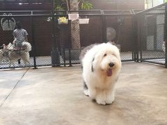 -TrueLove @ Neverland (Husky Cafe)