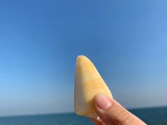 -北戴河东海水浴场