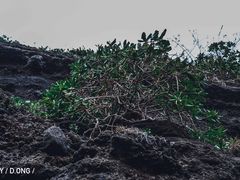 -涠洲岛火山国家地质公园