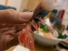 -一本钓鲔鱼屋