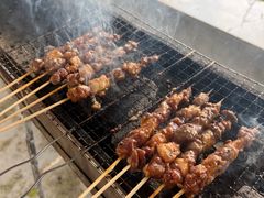 -同銮特种养殖场·龙虾垂钓