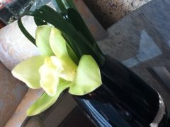 -西点坊(浦东香格里拉店)