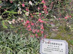 -荆川公园