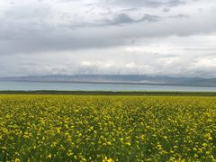 -青海湖国家重点风景名胜区