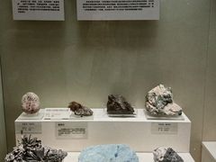 -天津自然博物馆