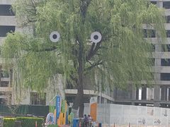 -兴芮温泉度假区