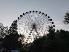 -青城公园