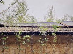 -南阳卧龙岗武侯祠