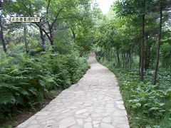 -紫竹院公园冰场