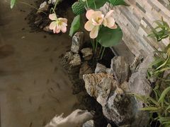 -汤乐汇•足道•SPA生活馆