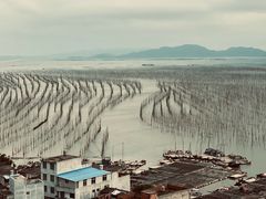 -北岐滩涂