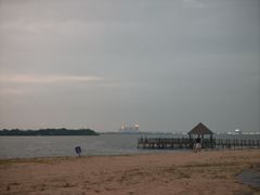 -瑶湖郊野森林公园