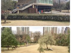 -苏州河梦清园环保主题公园