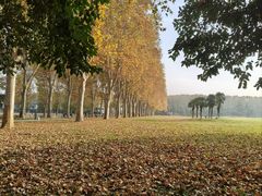 -河南省黄河迎宾馆