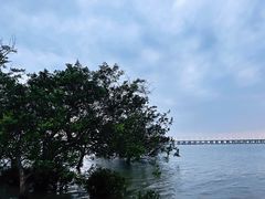 -宝安西湾红树林湿地公园