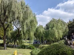 -柳莺湖上·湖景餐厅·江南菜(西湖店)