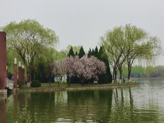 -石家庄市植物园