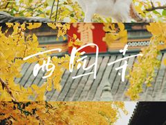 -西园戒幢律寺