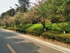 -铁山坪森林公园