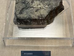 -亳州博物馆