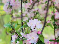 -海棠花溪(元大都城垣遗址公园)