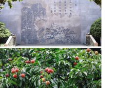 -广州神农草堂中医药博物馆