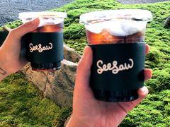哥斯达黎加冰滴-Seesaw Coffee(朝阳大悦城店)