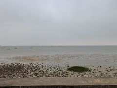 -北海金海湾红树林生态旅游区