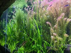 -上海海洋水族馆