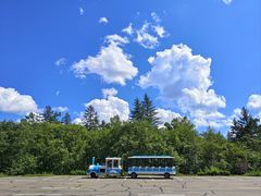 -五营红松林海景区