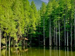 -波尔登森林公园