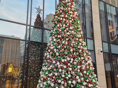 -Salon de Ville浦江汇(上海外滩华尔道夫酒店店)