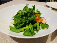 油醋汁云南冰草-翠府(翠湖北路店)