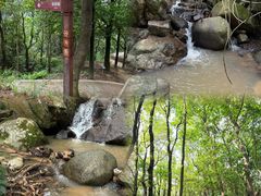 -阳台山森林公园