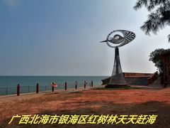 -北海金海湾红树林生态旅游区