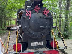 -五营红松林海景区