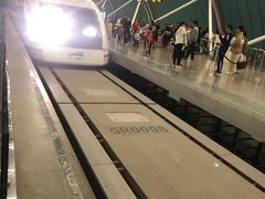 -龙阳路磁悬浮列车总站-停车场