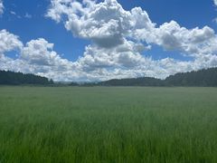 -塞罕坝国家级自然保护区