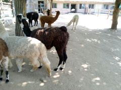 -西安秦岭野生动物园